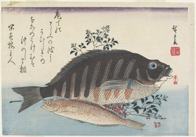 Tengeri keszeg, édeshal és nandina ágak, 1840 körüli évek alkotó: Utagawa Hiroshige