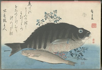 Csíkos tengeri dévérkeszeg, sziklapisztráng és nandina alkotó: Utagawa Hiroshige