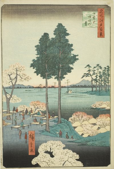 Suwa Buff Nipporiban (Nippori Suwanodai), a „Ridge dre d fa net s view of Edo (Edo száz híres nézete)” sorozatból. alkotó: Utagawa Hiroshige