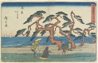 A fenyőmező Hamamatsuban, 1841-1842 alkotó: Utagawa Hiroshige
