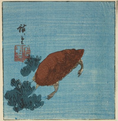 Teknősbéka alkotó: Utagawa Hiroshige