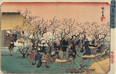 A kameidói szilvakert látképe, 1832-1834 alkotó: Utagawa Hiroshige