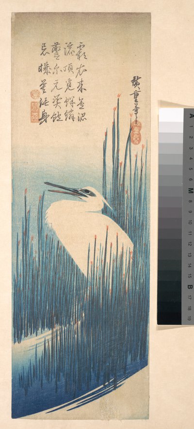 Weißer Reiher zwischen Schilf alkotó: Utagawa Hiroshige