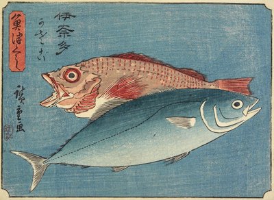 Sárgafarkú és sziklahal, 1830-1844 alkotó: Utagawa Hiroshige