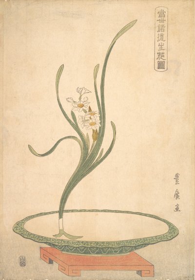 Suisen Narcissus virágkötészeti lapos zöld edényben. alkotó: Utagawa Toyohiro