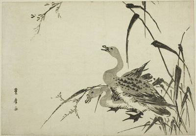 Vadlibák és nád alkotó: Utagawa Toyohiro