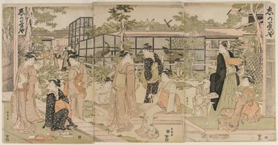 A Shika Teaház alkotó: Utagawa Toyokuni
