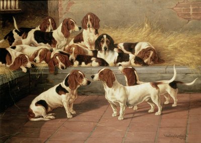 Basset kutyák egy kennelben, 1894 alkotó: Valentine Thomas Garland