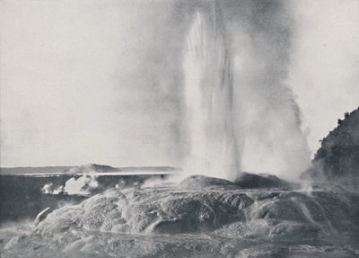 Gejzír, Új-Zéland, 1924 alkotó: Valentine and Sons Ltd
