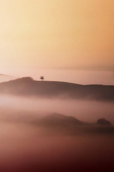 Lone Tree Aranyköd alkotó: Vanja Tajnsek