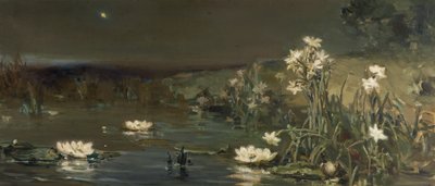 Csillag az éjszakában alkotó: Vasilii Kotarbinsky