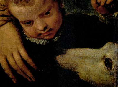 Nő portréja gyermekkel és kutyával, részlet a gyermek fejéről és a kutya olaj, vászon részlet 95739 alkotó: Paolo Veronese
