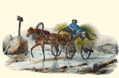 Le Paysan Russe. „” Album Grotesque, Choices of Outstanding Types”, illusztrációi Victor Adam, Párizs, 1850 körül. alkotó: Victor Adam