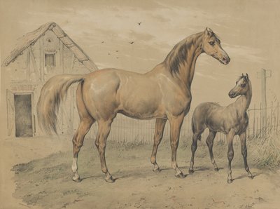Kanca és csikó, 19. század. alkotó: Victor Adam