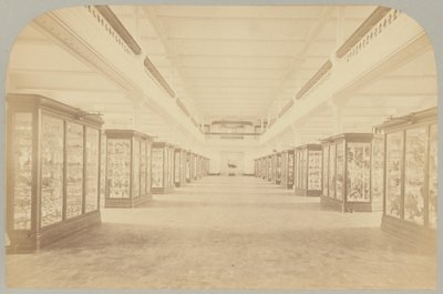 Pl. III. Fő történet: Madarak alkotó: Victor Prevost, Gaston L. Feuardent and Co., New York
