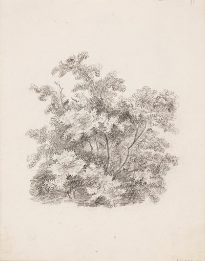 Cserjék alkotó: Victoria Åberg