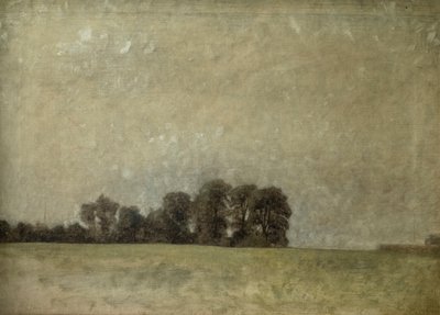 Táj, 1909 alkotó: Vilhelm Hammershoi