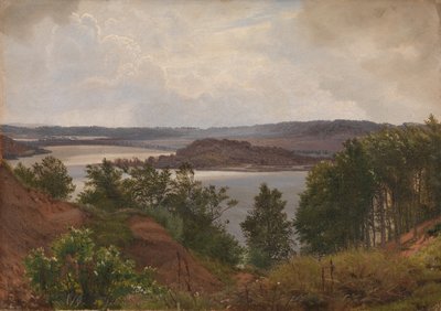 Laveni tavak Silkeborg mellett alkotó: Vilhelm Kyhn