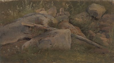 Egy kőkupac tanulmányozása alkotó: Vilhelm Petersen
