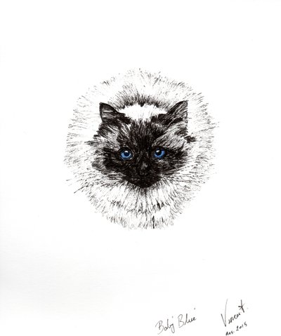 Babalabda, 2015, (tinta, papír) alkotó: Vincent Alexander Booth