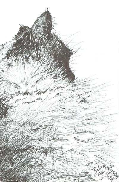 A baba melegen tartja a 2005-ös újévet alkotó: Vincent Alexander Booth