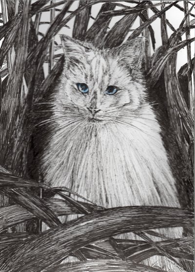 Jungle Monty, 2015, (tinta papíron) alkotó: Vincent Alexander Booth