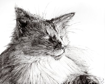 Monty cozy boy, 2015, (tinta papíron) alkotó: Vincent Alexander Booth