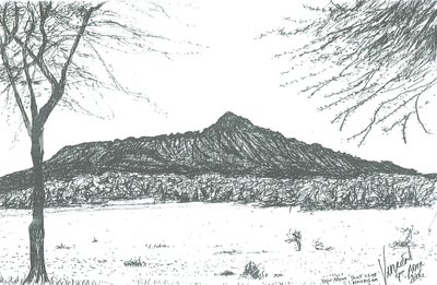 Hegy a csónakklubból a Naivasha-tónál, Kenya; 2006 alkotó: Vincent Alexander Booth