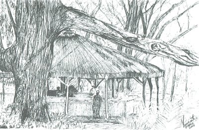 Kültéri bár, Naivasha-tó, 2006; (tinta papíron) alkotó: Vincent Alexander Booth