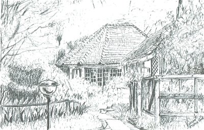 Szobák a szállodában, Naivasha-tó, 2006 alkotó: Vincent Alexander Booth