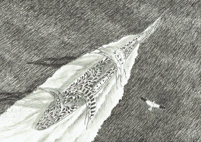 Storm Creators Cape Canaveral, 2022 alkotó: Vincent Alexander Booth