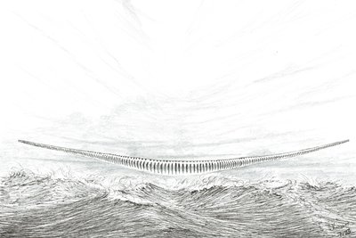 Storm Creators Cape Leveque, 2023 alkotó: Vincent Alexander Booth