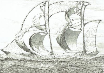 Storm Creators Cape San Diego, 2022 alkotó: Vincent Alexander Booth