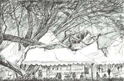 Esküvői sátrak a Nawesha-tónál Kenya, 2003 alkotó: Vincent Alexander Booth