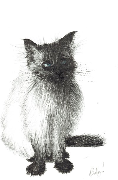Fiatal baba, 2004 alkotó: Vincent Alexander Booth