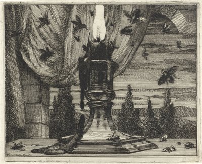 A legyeket vonzza a gyertya fénye alkotó: Vincent Laurensz. van der Vinne (II)
