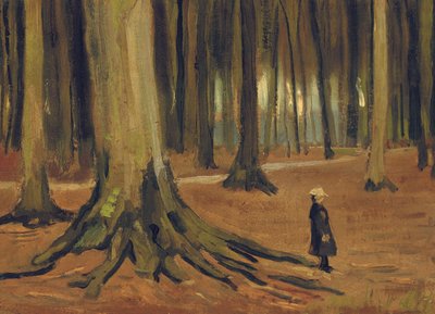 Egy lány az erdőben, 1882 alkotó: Vincent van Gogh