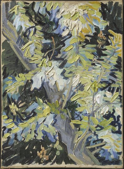 Akác en fleur – Akácvirágzás, Gogh, Vincent, van (1853-1890). Olajfestmény. Mérete: 33x24 cm. Nemzeti Múzeum Stockholm alkotó: Vincent van Gogh