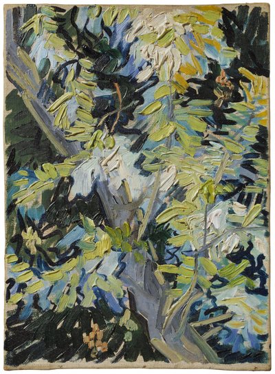 Virágzó akác alkotó: Vincent van Gogh