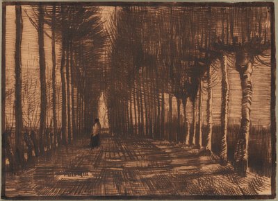Pollard nyírfák és nyárfák sugárútja alkotó: Vincent van Gogh