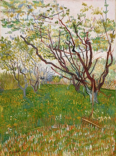 Virágzó gyümölcsös. 1888 alkotó: Vincent van Gogh