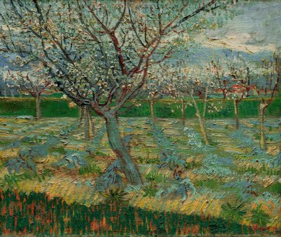 Virágzó gyümölcsös sárgabarackfákkal alkotó: Vincent van Gogh