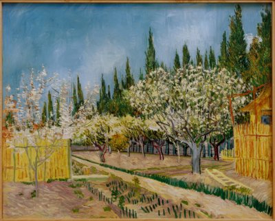Virágzó gyümölcsös ciprusfákkal körülvéve alkotó: Vincent van Gogh