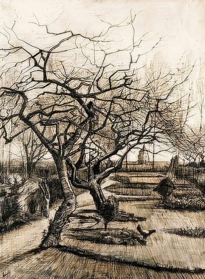 A nueneni paplak kertje. 1884 alkotó: Vincent van Gogh