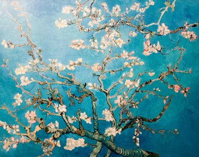 Holland: Amandelbloesem Virágzó mandula ágú fa alkotó: Vincent van Gogh