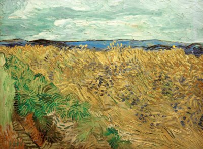 Mező búzavirággal alkotó: Vincent van Gogh