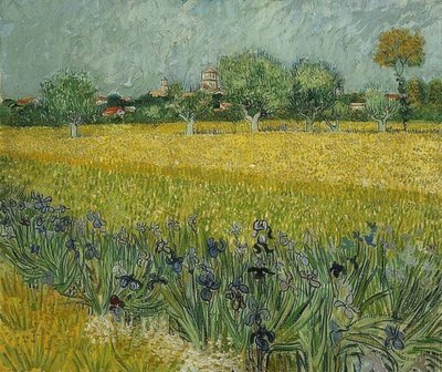 Mező íriszekkel Arles közelében. 1888. május alkotó: Vincent van Gogh