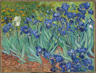 Íriszek alkotó: Vincent van Gogh