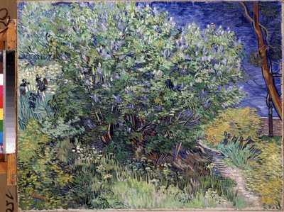 ""The Lilac Bush"" (Lilac Bush) Vincent van Gogh (1853-1890) festménye 1889 Méret: 72x92 cm Ermitázs Múzeum, Szentpétervár (Szentpétervár) alkotó: Vincent van Gogh