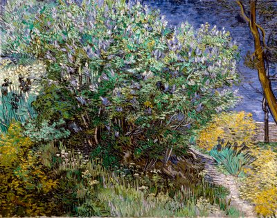 Az orgonabokor. Vincent VAN GOGH (1853-1890) alkotó: Vincent van Gogh